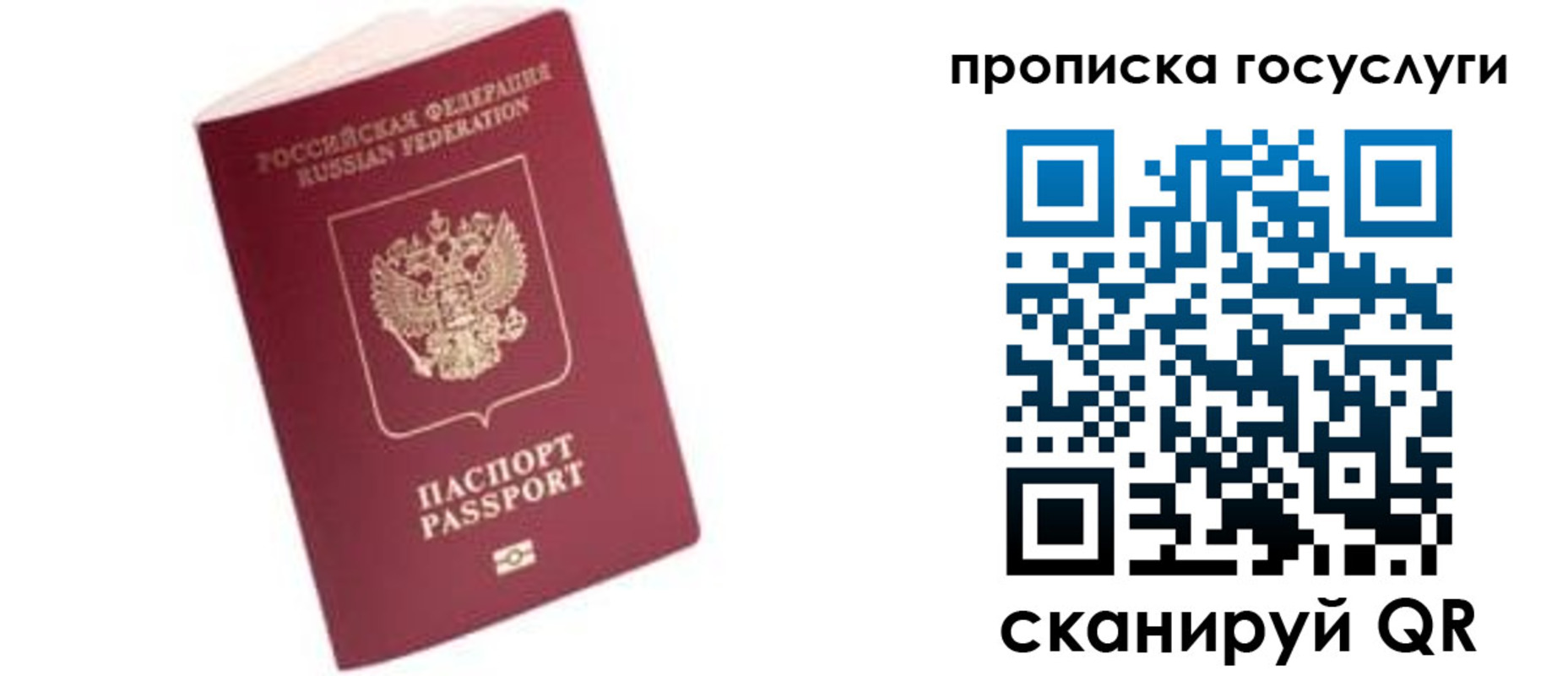 прописка в Вельске
